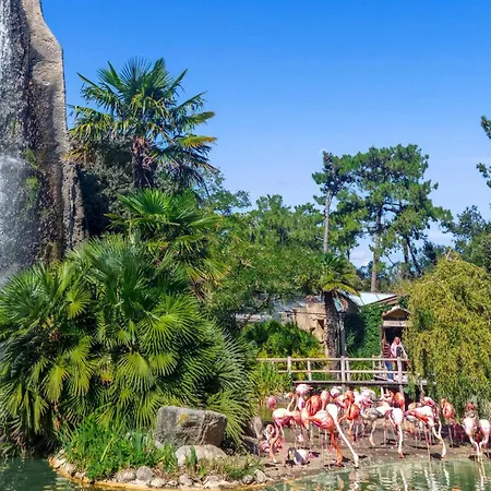 Tatil Evi Stunning In